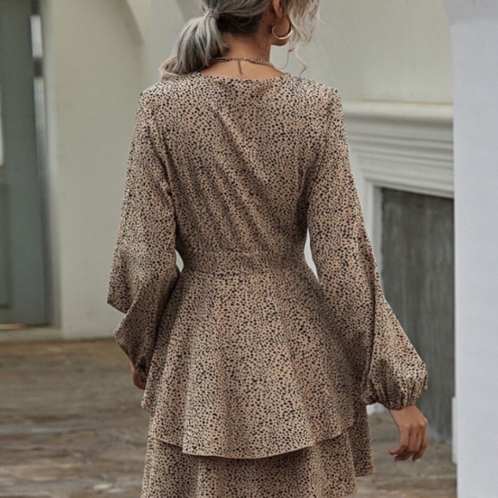 Leopard Print v neck Print Tiered Layered Dress - Picture 5 of 6